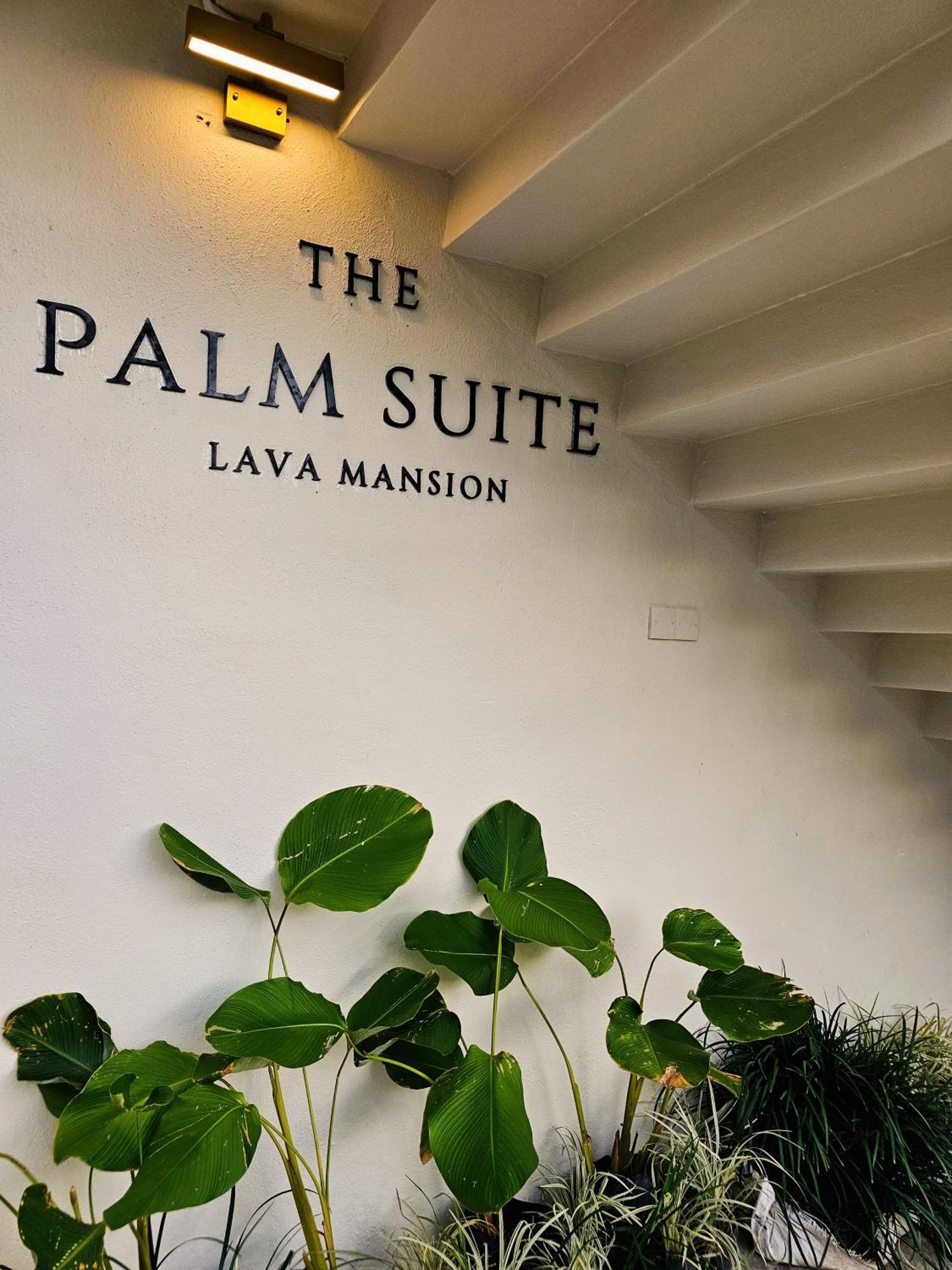 The Palm Suite At Lava Mansion George Town Extérieur photo